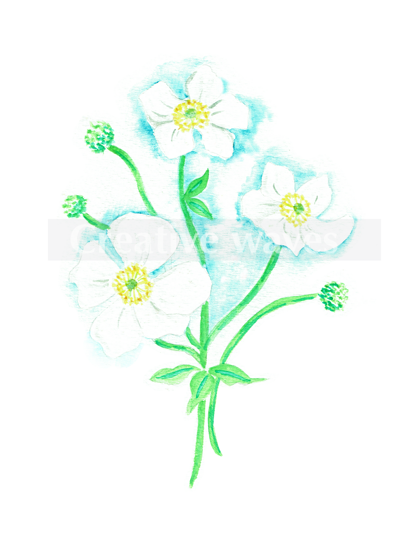 Moon flowers