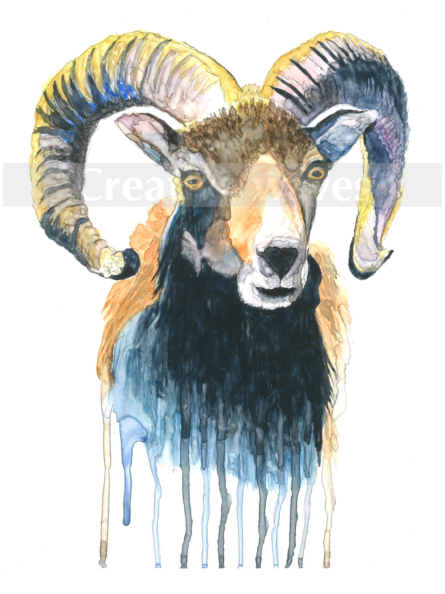 Rocky Mountain bighorn sheep