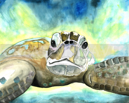 Sea Turtle