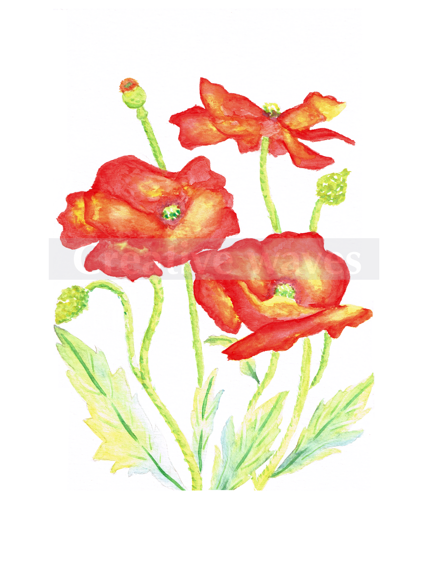 Red Poppies